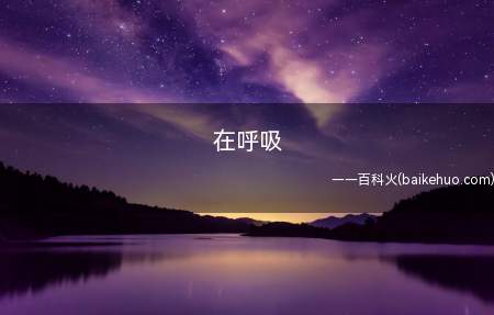 在呼吸是什么梗（闲聊中他人问在干嘛的一种尤其回应）