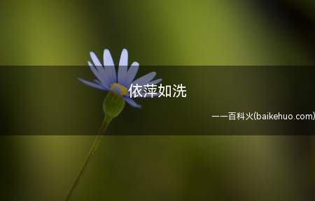 依萍如洗是什么梗（依萍如洗是什么意思 这一梗其实很简单）