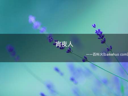 宵夜人是什么梗（宵夜人是什么意思 吃宵夜才算是100分完美的一天）