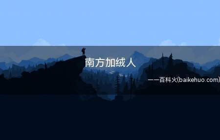 南方加绒人是什么意思(南方加绒人代表什么意思)