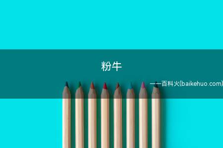 粉牛是什么意思（粉牛是什么意思粉牛,是靠偶像挣钱的粉丝）