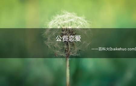 公费恋爱是什么意思（公费恋爱:描述和同伴处对象的个人行为）