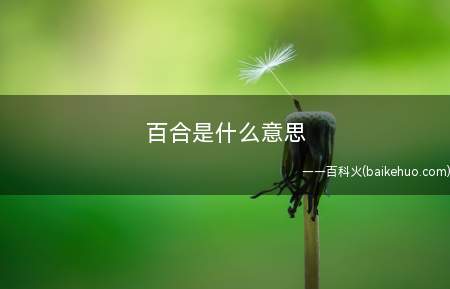 百合是什么意思？