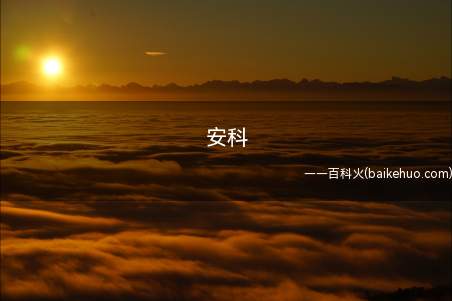安科是什么梗（日本手机游戏安价,安价）