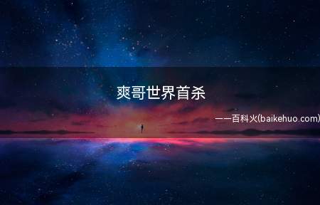 爽哥世界首杀是什么梗（《舰队Collection》爽哥总算拿到全球首杀）