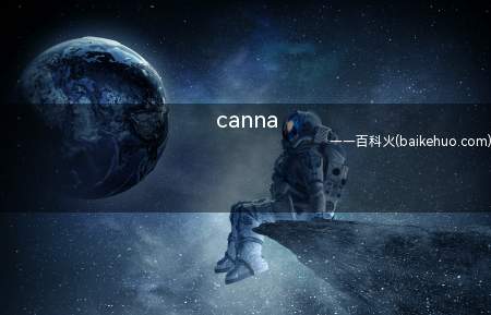 canna是什么梗（LOL 韩职业队t1lol上单在就2020年季中杯与TES赛）
