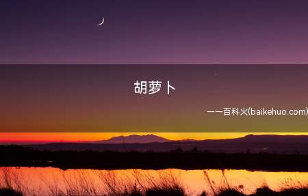 胡萝卜是什么意思(比社交圈胡萝卜还惨的惨剧)