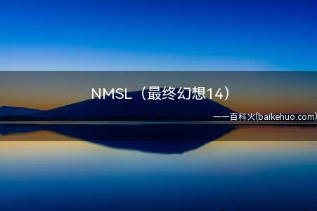 NMSL（最终幻想14）是什么意思（《最终幻想14》表述:恶行精英刷新）