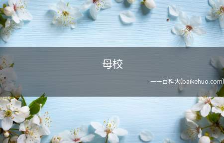 母校是什么意思（毕业后会马上修路,装空调,硬件设施全方位提升的一所学校）