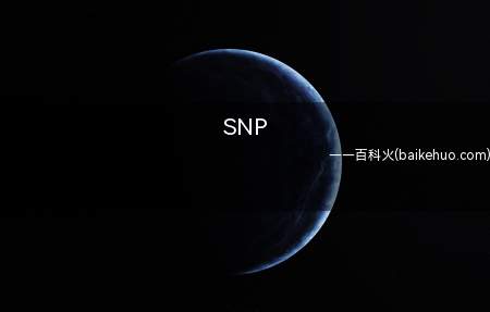 SNP是什么意思(屎(shi)尿(niao)屁(pi)的拼音首字母缩写)