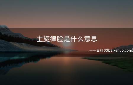 主旋律脸是什么意思（主旋律脸是什么意思主旋）