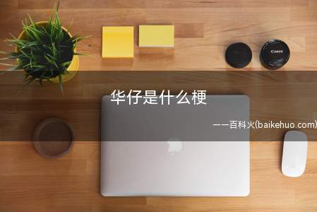 华仔是什么意思（四大天王之一的刘德华,人称华仔）