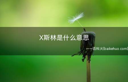 X斯林是什么梗(指对别人见解或观念有明显排他性的人)