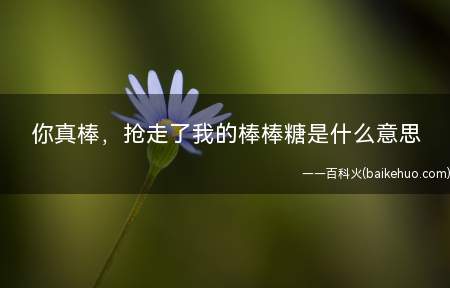 你真棒,抢走了我的棒棒糖是什么意思(你真棒,抢走了我的棒棒糖)