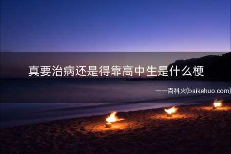 真要治病还是得靠高中生是什么意思（无脑否认专业从业者结果或认可的客观事实）