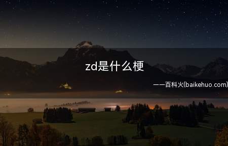 zd是什么梗（定时炸弹的简称是什么）