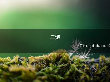 二炮是什么梗（中国人民解放军火箭军的其前身）