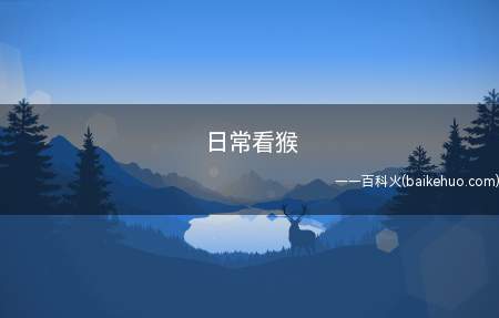日常看猴是什么意思（一种挑衅的观点,用于取笑他人）