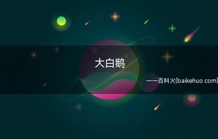 大白鹅是什么意思（范丞丞的大白鹅,脖子比别人都需要长）