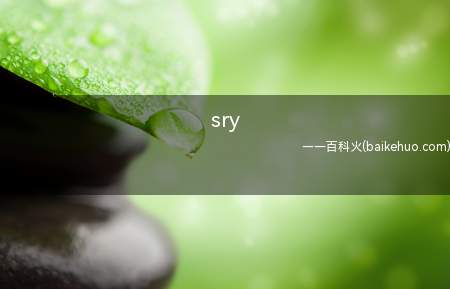 sry是什么意思（英语sorry对不起的含意）