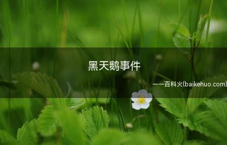 黑天鹅事件是什么梗(难以预测,寻常的重大事件)
