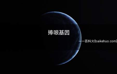 捧哏基因是什么梗(鲁豫:你一天演三场相声小品,演得开心吗?)