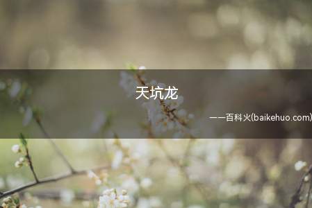 天坑龙是什么意思（游戏动漫王怪物之对决里的超强力怪物卡 属三幻神之一）