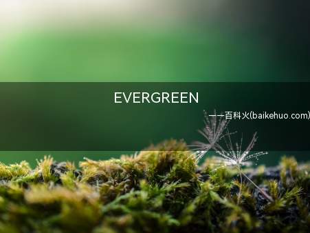EVERGREEN是什么意思（EVERGREEN是中国台湾长荣海运有限责任公司的英文名字）