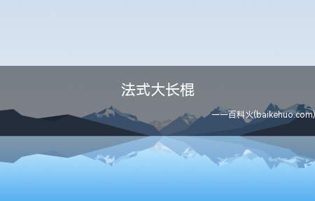 法式大长棍是什么意思（指空中客车A340）