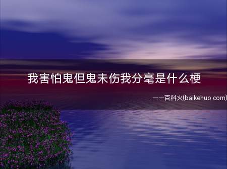 我害怕鬼但鬼未伤我分毫是什么梗(抖音乐人段兴华把丽丽的这句话改写变成rap《我害怕鬼》)