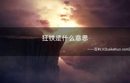 狂铁是什么梗（植物大战僵尸95版里边的旗子丧尸增加了一个铁桶）