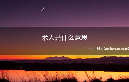 术人是什么梗(vocaloid日语(bokaro)长得像汉字术力口)