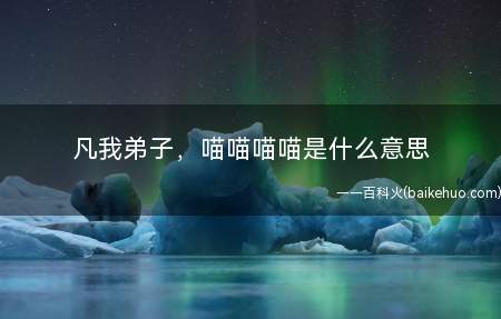 凡我弟子，喵喵喵喵是什么梗（圣火景晴,圣光耀耀,凡我弟子,喵喵喵）