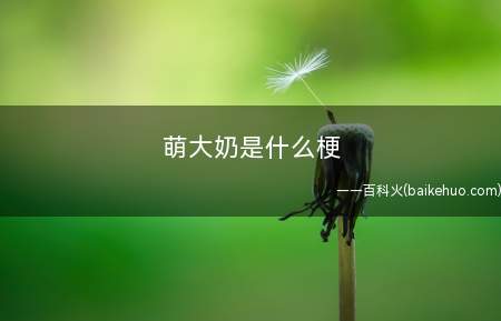 萌大奶是什么梗(即日语问题(日语罗马音:Mondainai)的中文谐音)