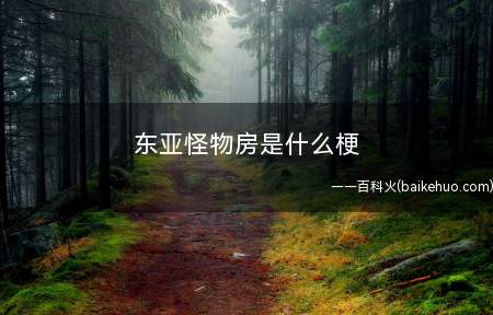 东亚怪物房是什么梗（亚洲地区可以说成军事强国诸多,拥有东亚怪物房的观点）