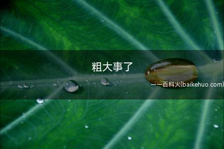 粗大事了是什么意思（出比一般事情,不但大,还粗的事情了）