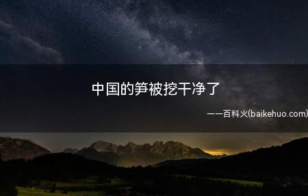 中国的笋被挖干净了是什么梗（损楷音笋,笋被挖整洁了,便是吃瓜人民群众讽刺人的情况下言语太）