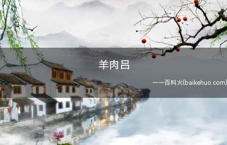 羊肉吕是什么意思（指没有签子的羊肉串）
