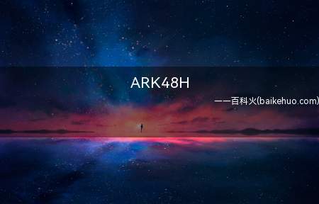 ARK48H是什么意思(全称之为“ark48hours”,hololive的别名)