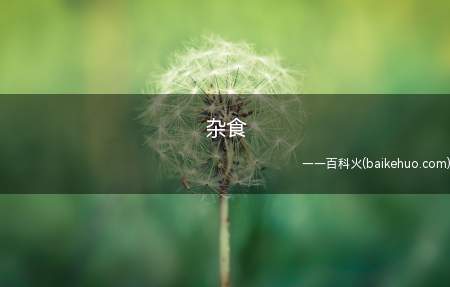 杂食是什么梗（同人圈用语 给cp画画写文等叫产出也叫产粮）