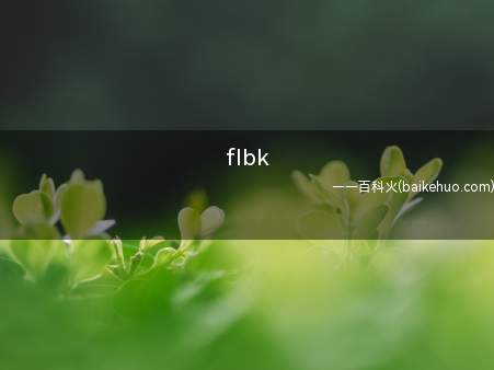 flbk是什么意思(费拉不堪的拼音首字母缩写,即沉沦不堪,十分拉胯的含意)