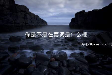 你是不是在套词是什么意思（音乐专业观点“套用歌曲歌词”的通称）