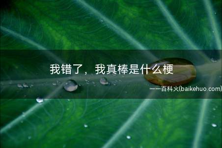 我错了，我真棒是什么意思（这是网友讽刺全棉时代发的道歉信的）