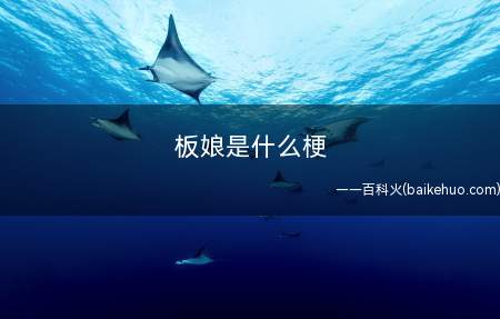 板娘是什么梗（平面的二次元女生形象,板娘是她的别称）