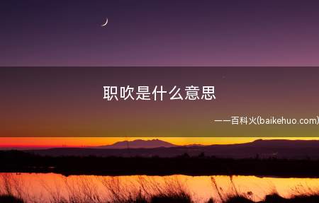 职吹是什么梗（便是职业商吹,一般表明自身吹牛逼是专业的）