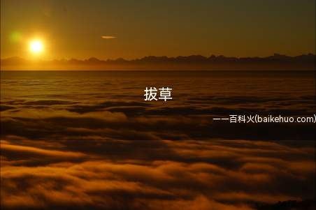 拔草是什么意思（把喜欢的东西买下来或是不会再喜欢）