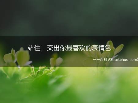 站住,交出你最喜欢的表情包是什么意思(鸡友最爱的表情图有什么呀?)