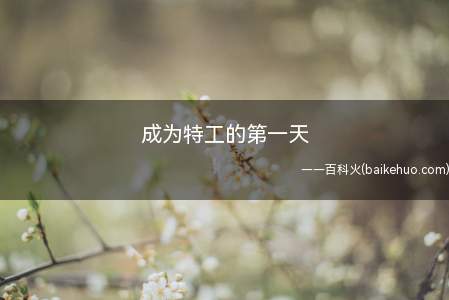 成为特工的第一天是什么意思(指一些搞笑幽默特工视频)