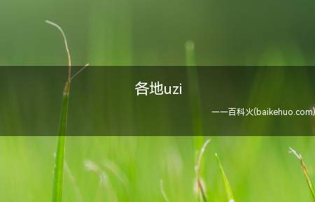 各地uzi是什么意思（英雄联盟职业选手简自豪(Uzi)直播间排位赛）
