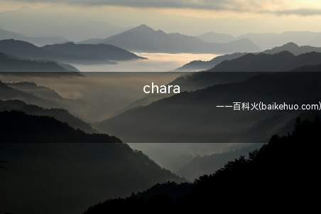 chara是什么梗(Undertale游戏里面第一个落入地底人们的姓名)